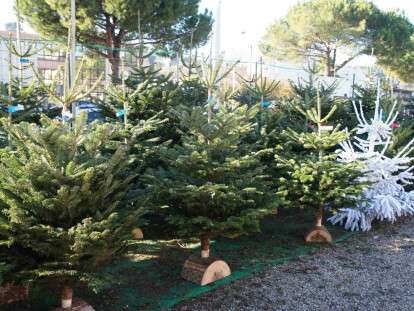 5836c4135bbfc-839-52aa0fbc5a118_1200.jpg