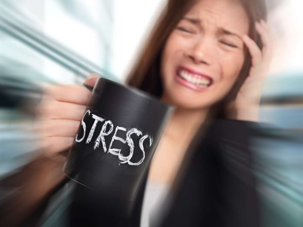 stress-1024x768.jpg
