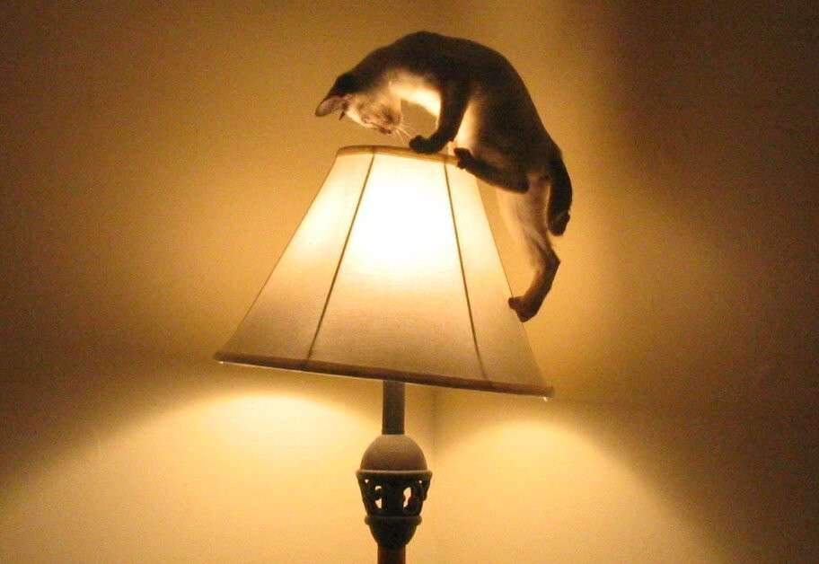 cat-lamp-5_1.jpg