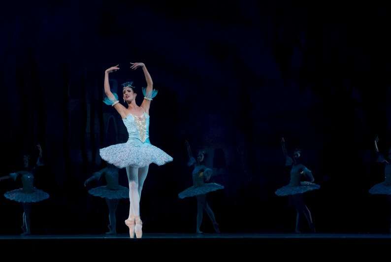 ballet-ballerina-performance-don-quixote-46158.jpeg