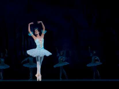 ballet-ballerina-performance-don-quixote-46158.jpeg