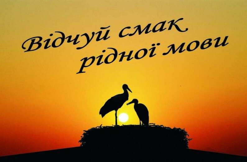 01aed8e6c68604ba87a75692fb379c3c.jpg