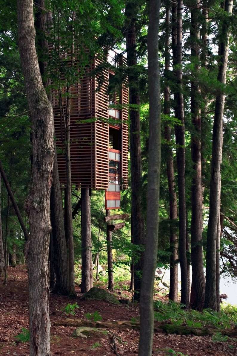 5750360-1000-1452774581-4treehouse