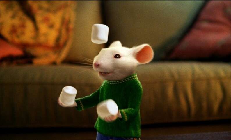 5166960-650-1450097301-stuart-little-2-2002-14-g