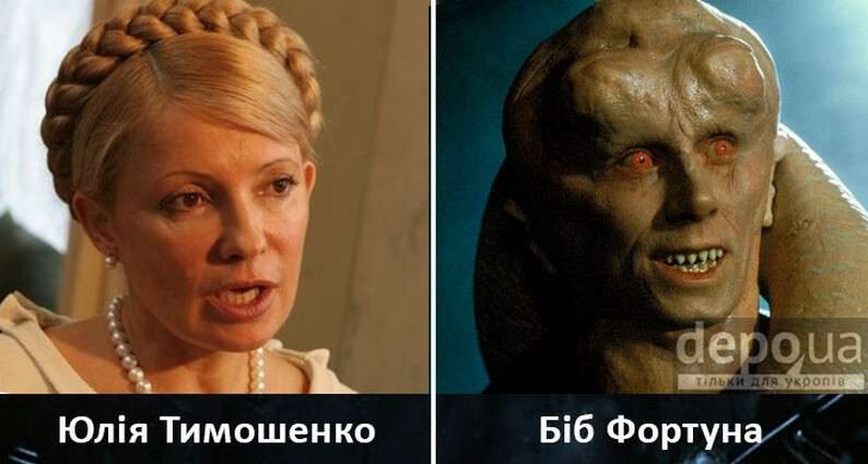 timoshenko_fortuna