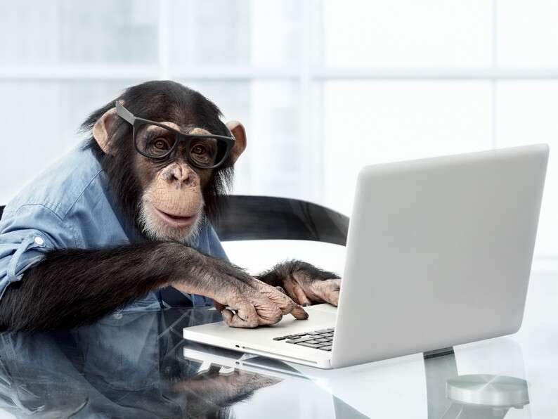 istock-18586699-monkey-computer-4b8653fa14a7eb233c2e91f27206eaa0798e21a3.jpg