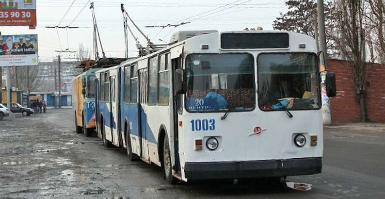 769132.jpg