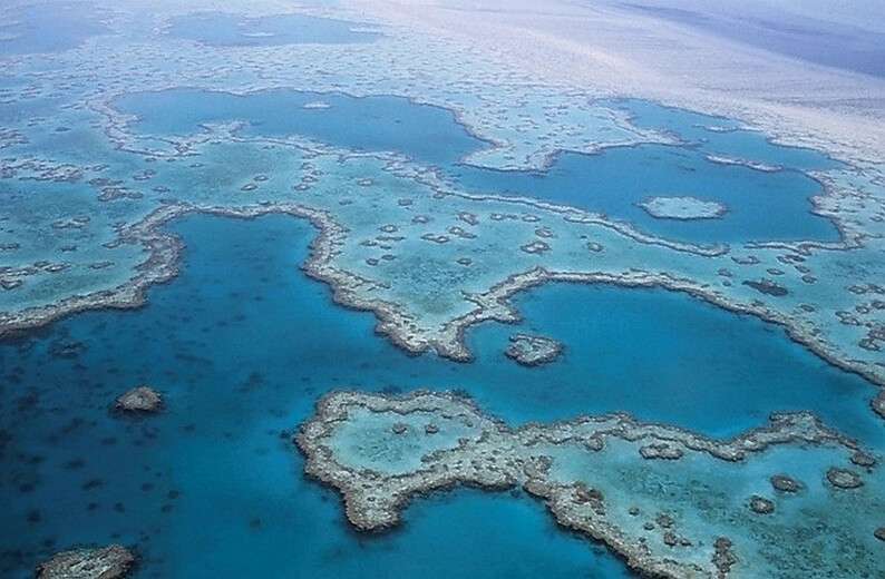 great-barrier-reef-527987_640