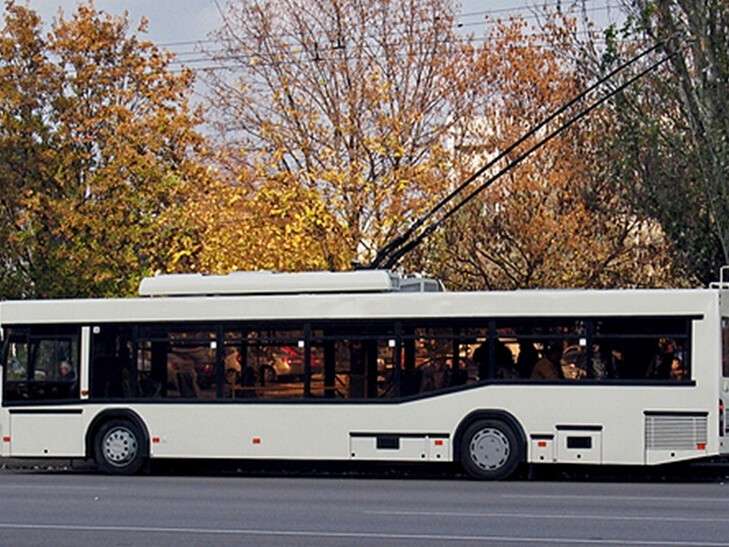 699587.jpg