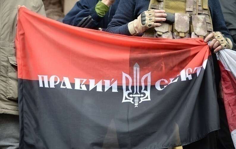 1651729.jpg