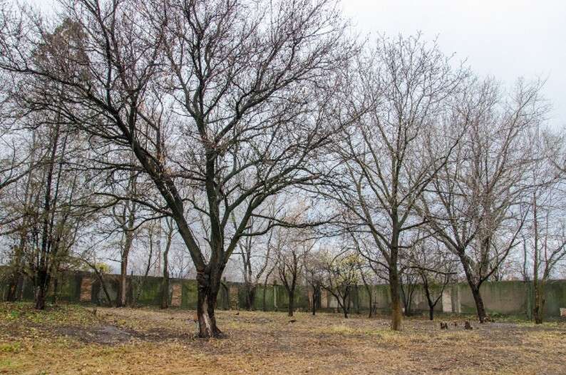 1_144794722082735-4b52