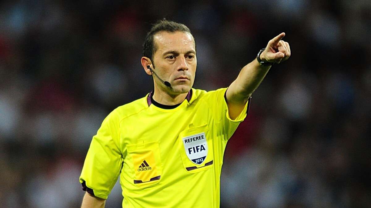 ref.jpg