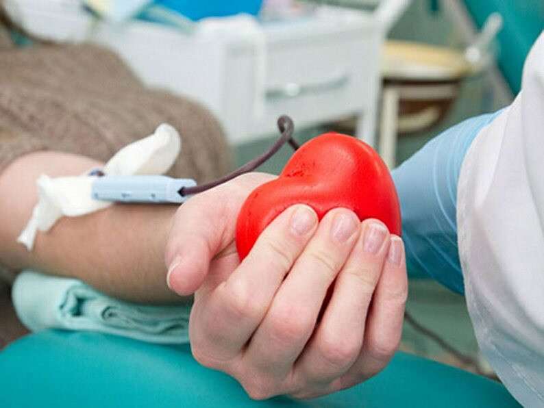 donor-1.jpg