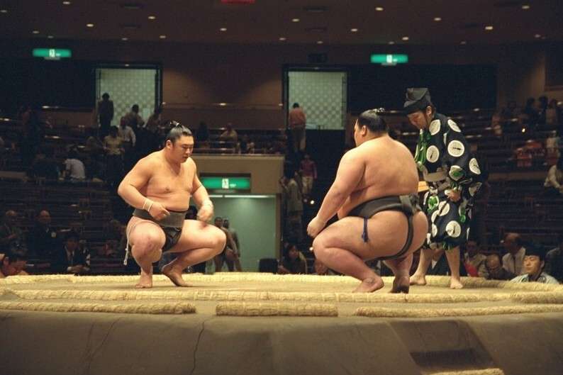 sumo.jpg