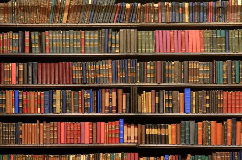 shelf.jpg