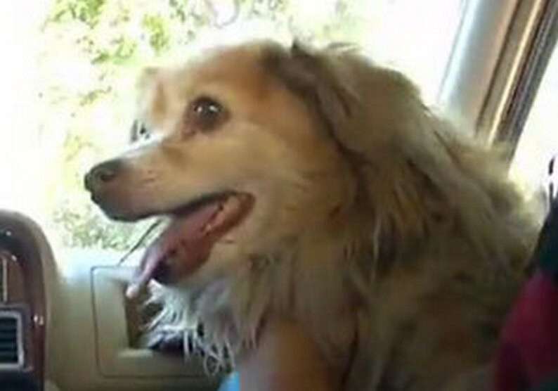 109376
