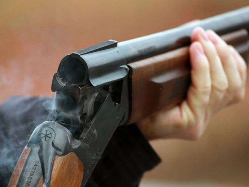 758.jpg