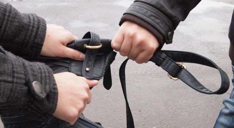 ukral_sumku.jpg