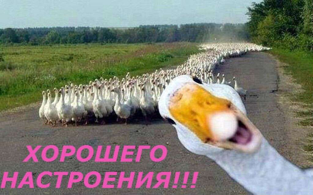 nastroenie-super.jpg