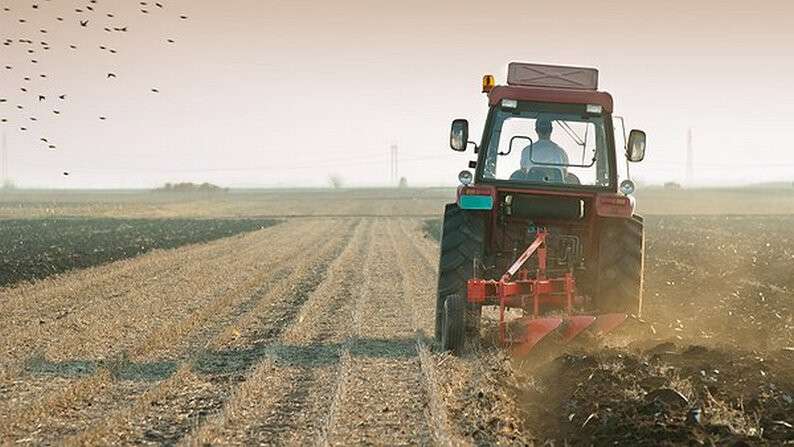 farmer-land.jpg.600x338_q85_box-0861000579_crop_detail_upscale.jpg