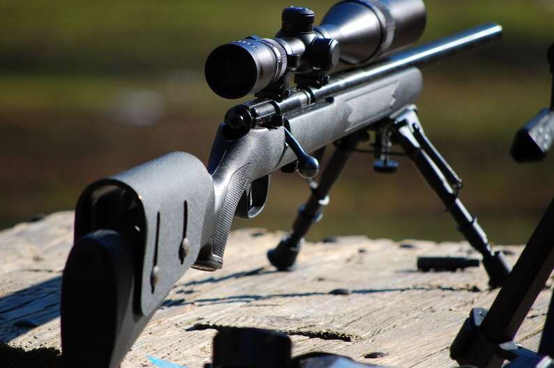 savage-mkii-snayperskaya-4185.jpg