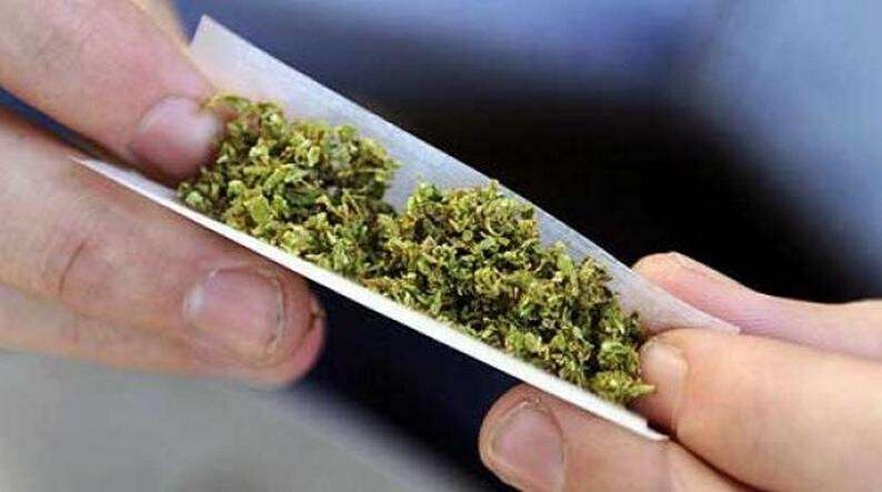 marijuana.jpg