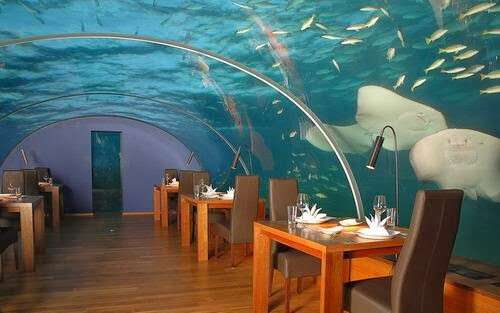 restoranm1