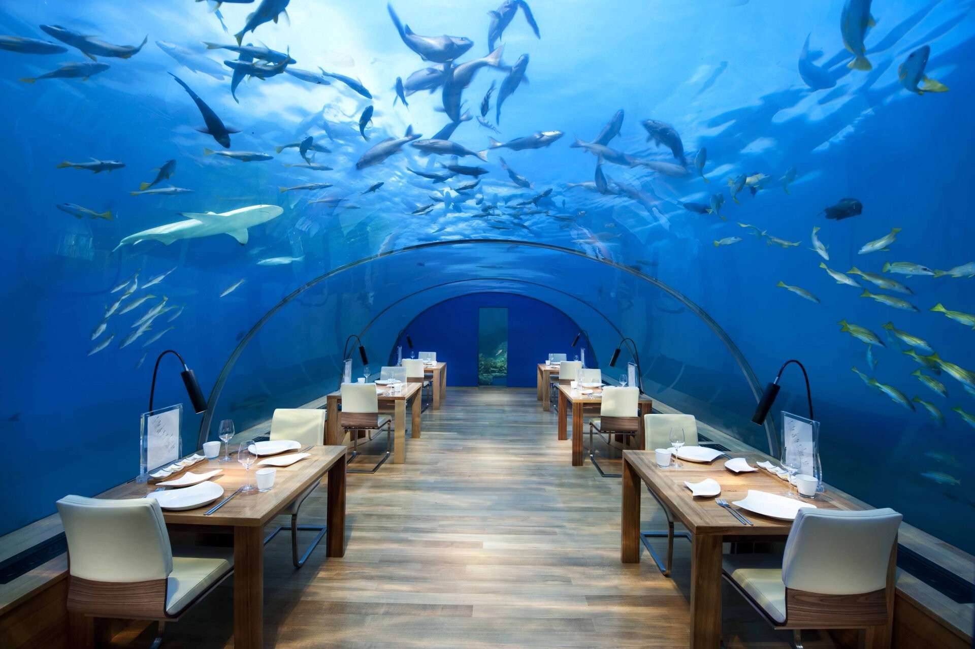 restaurant2