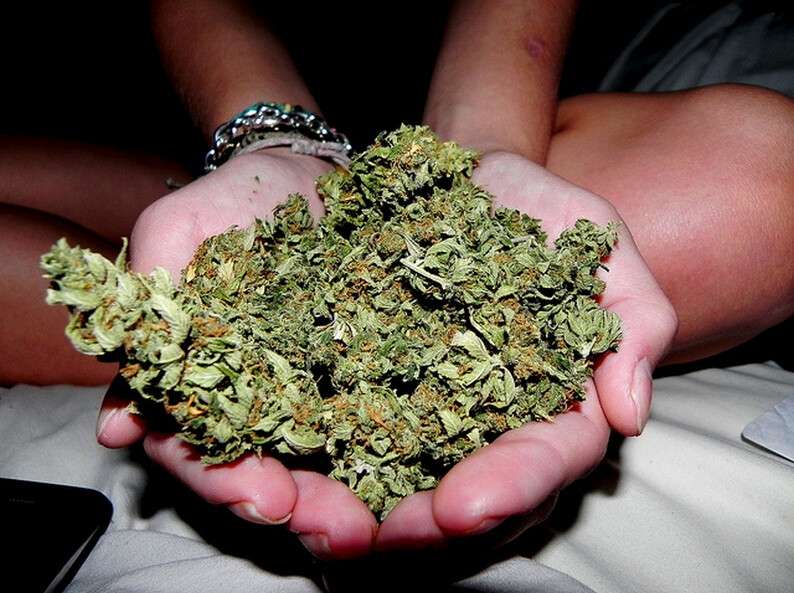 ruki-ladoni-trava-marihuana-narkotik-favim.ru-8130.jpg