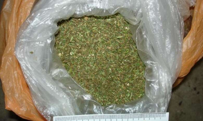 trava_v_lt1-500x300.jpg