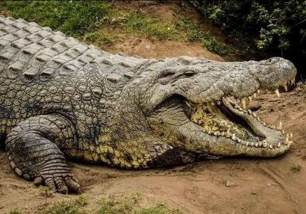 34.jpg