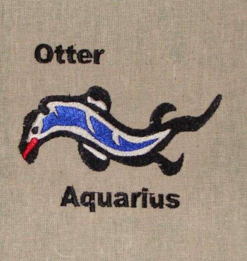 qyrpdys