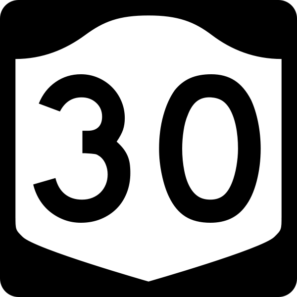 600px-ny-30.svg_.png