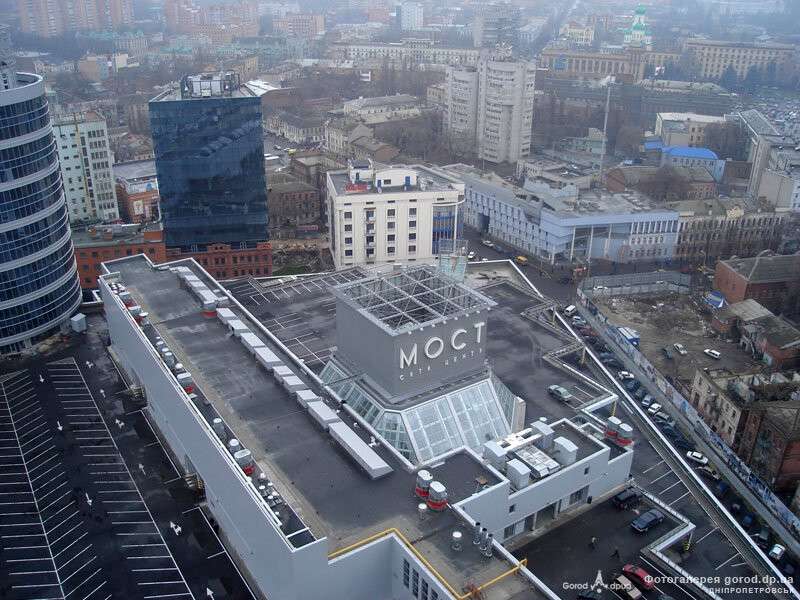 7042834.jpg