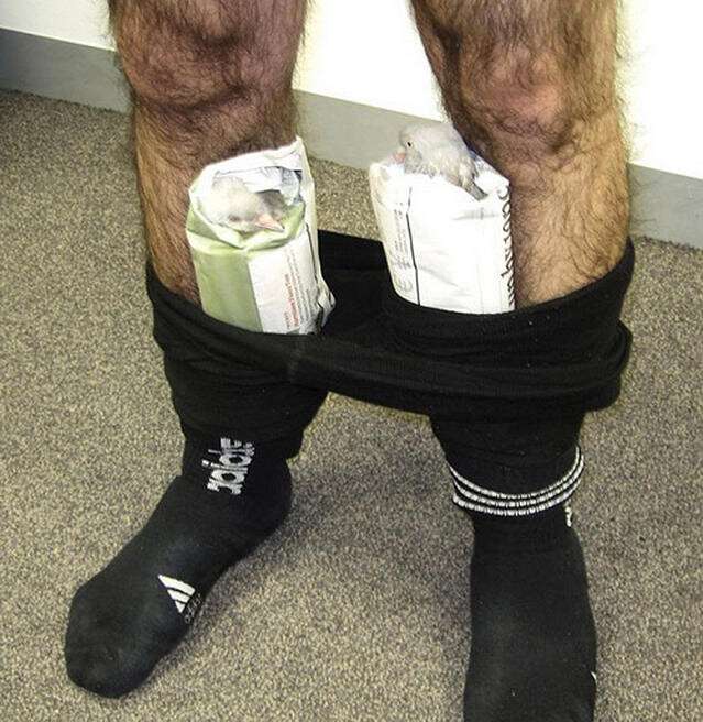 1.jpg