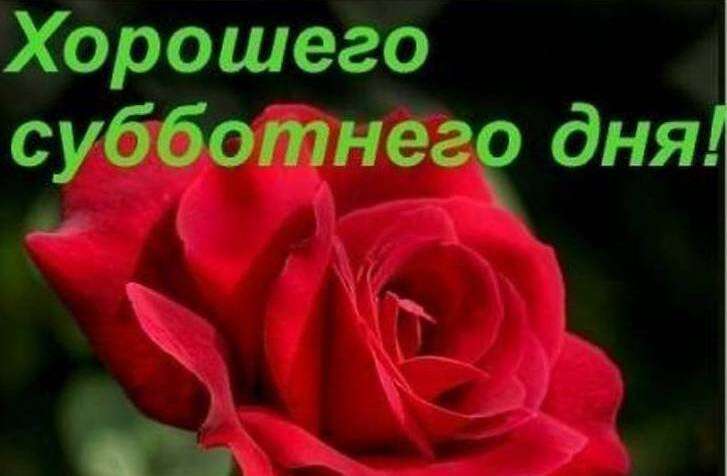489828037.jpg