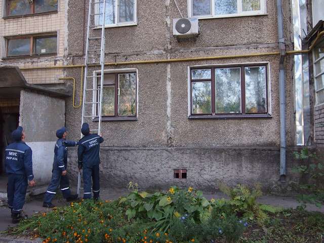2_291