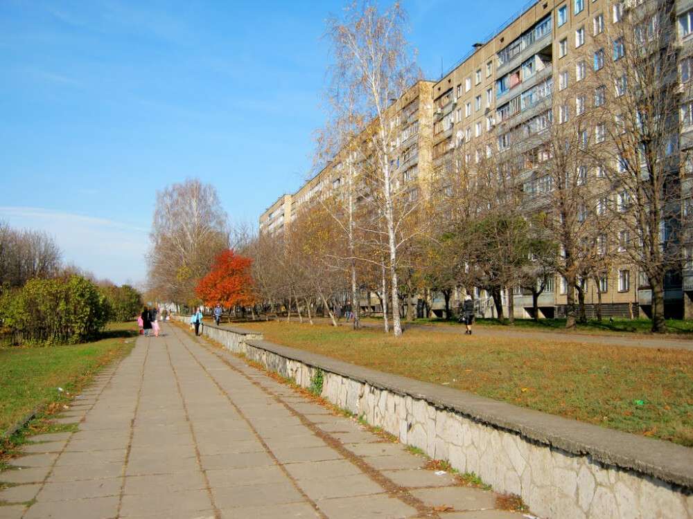 43400478.jpg