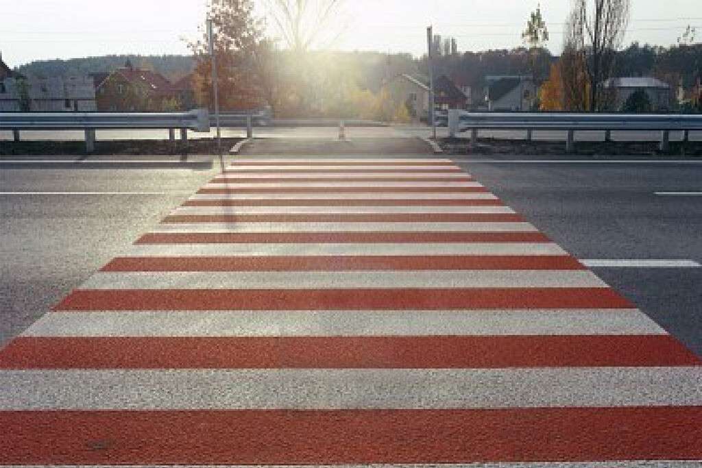 zebra.jpg