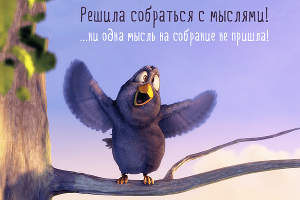 bird2