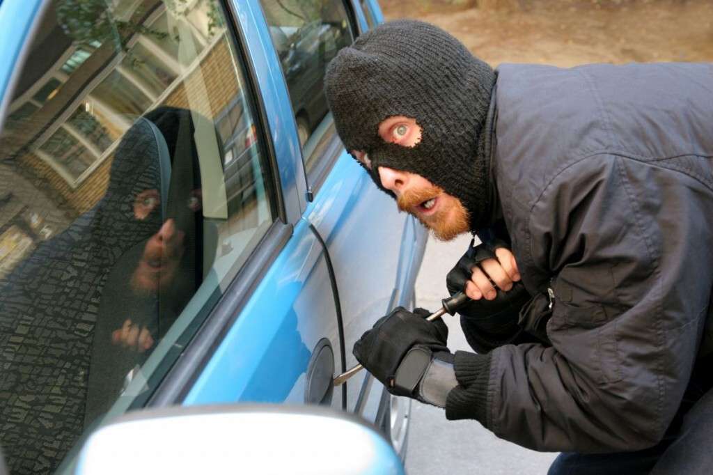 carthief-1024x682.jpg