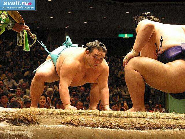 sumo2.jpg