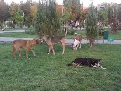 1f9056914c81851e5e60795b7c64a31b_XL