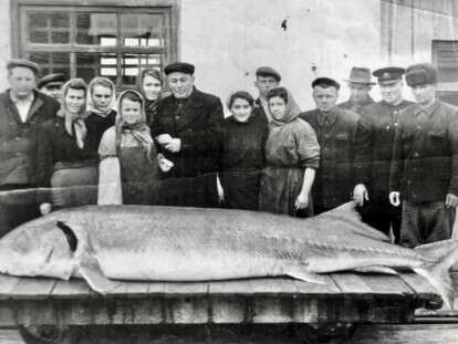 41542254_2092457887471017_7258932181249032192_n