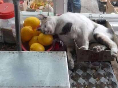 41804313_1103978289767051_8468429593534005248_n