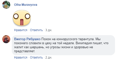 толдтблт