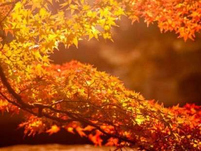 osennee-ravnodenstvie-1010x505-1