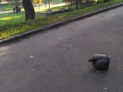 42171878_693037471083580_3320937351139557376_n