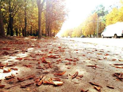 42497091_715651498783971_1414600886855925760_n