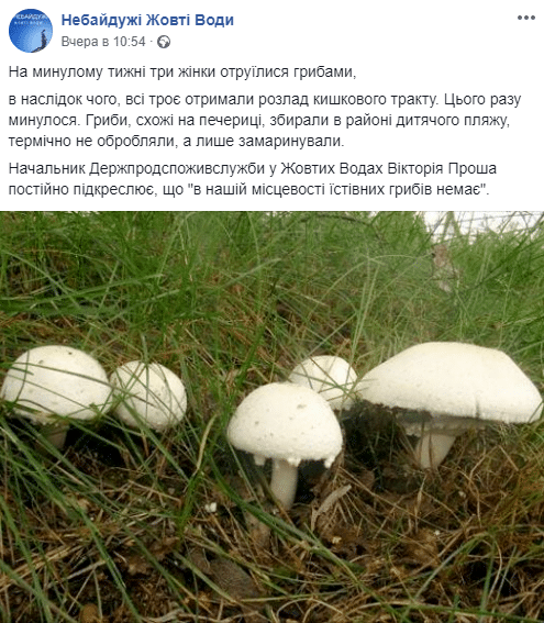 олтлдтдлт